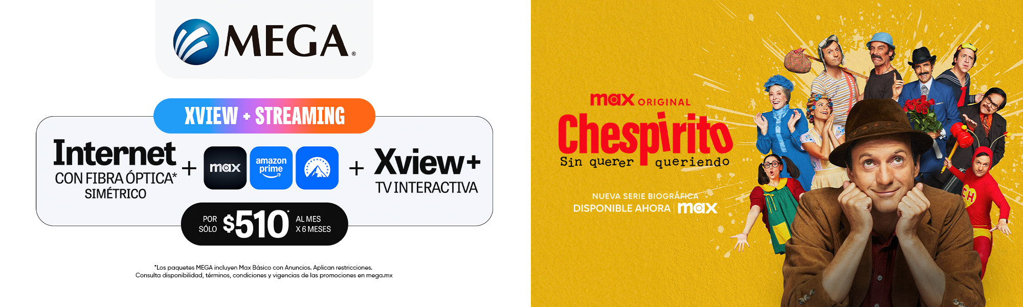 EXP_FIBRA_SIMETRIA_XVIEW+_MAX